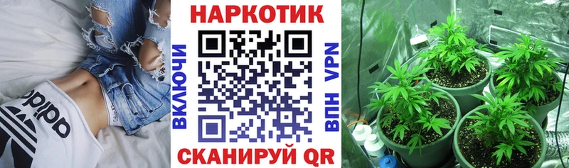Цена Новозыбков Cocaine МЕФ