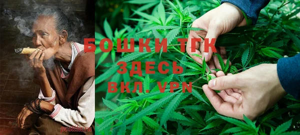 PSILOCYBIN Зеленодольск