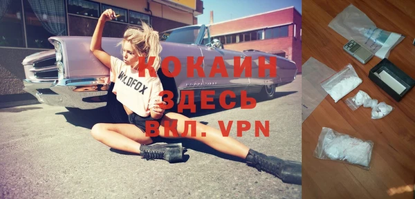 дурь Алексин