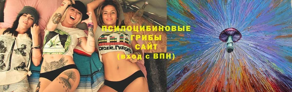 хмурый Алексеевка