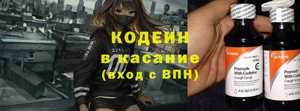 дурь Алексин