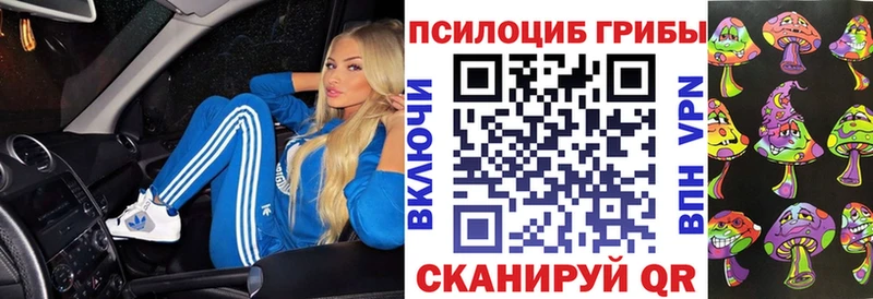 Галлюциногенные грибы Psilocybine cubensis  закладки  Новозыбков 